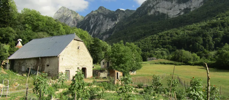 Été à la ferme